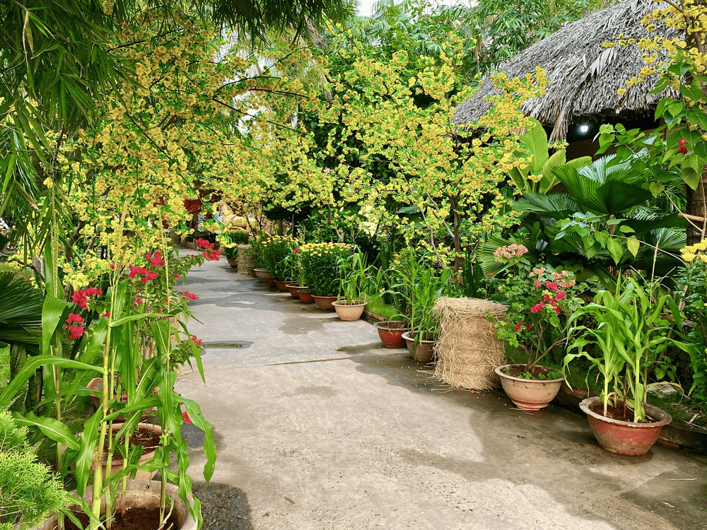 Làng du lịch Tre Việt mang đậm phong cách miền Tây với những hàng dừa, sông nước và lối thiết kế mộc mạc (Nguồn: Làng du lịch sinh thái Tre Việt - The Bamboo)